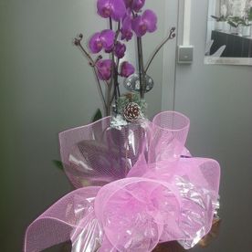 ramo flores púrpuras