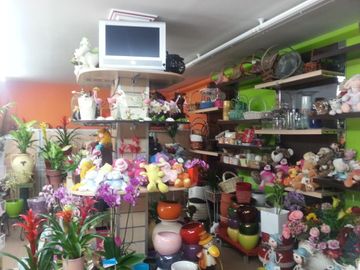 tienda Arte Floral Milagros Albitos
